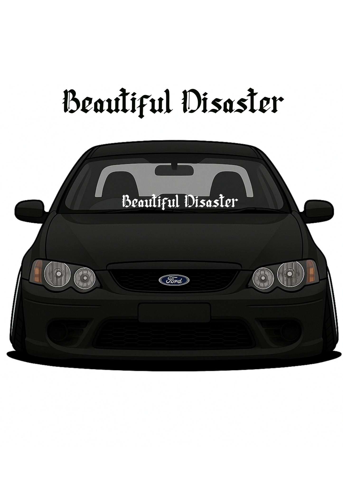 Beautiful Disaster Window Banner