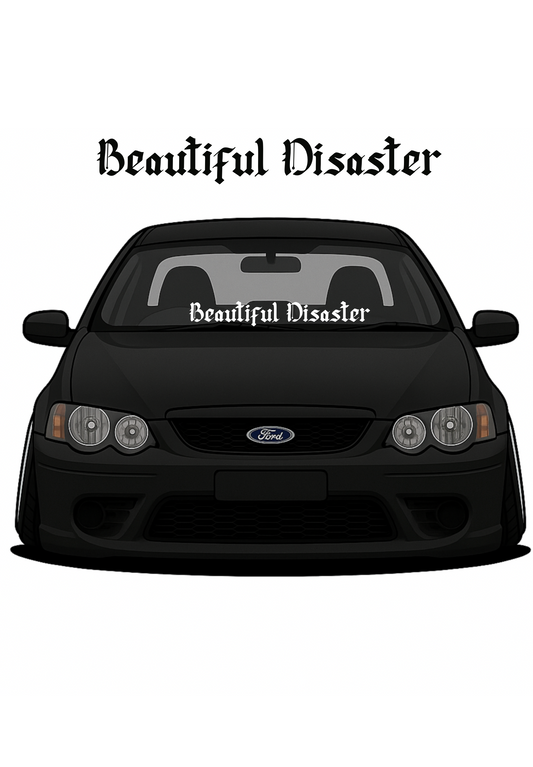 Beautiful Disaster Window Banner